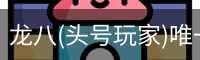 龙八(头号玩家)唯一官方网站